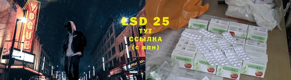 тгк Алзамай