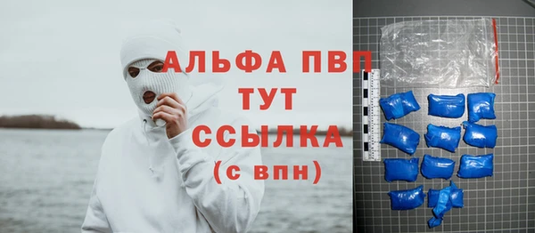 тгк Алзамай