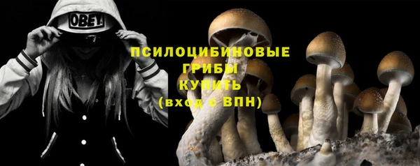 амфетамин Алексин