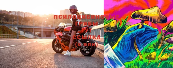тгк Алзамай