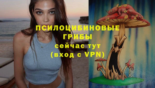 тгк Алзамай