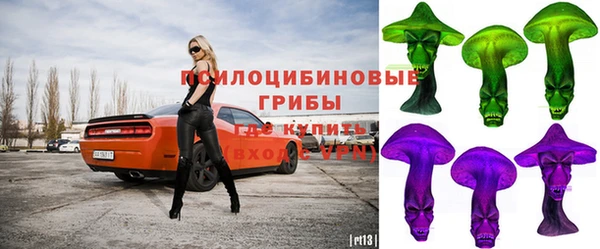 тгк Алзамай