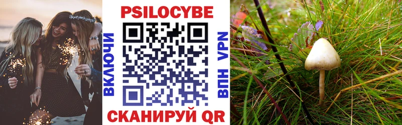 купить цена Ардатов Псилоцибиновые грибы мицелий